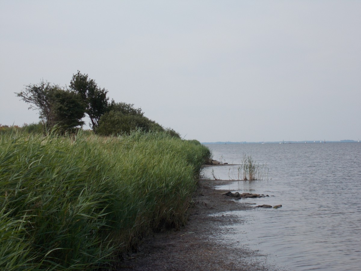 In einer Bucht auf Ummanz am 24.Juli 2014.