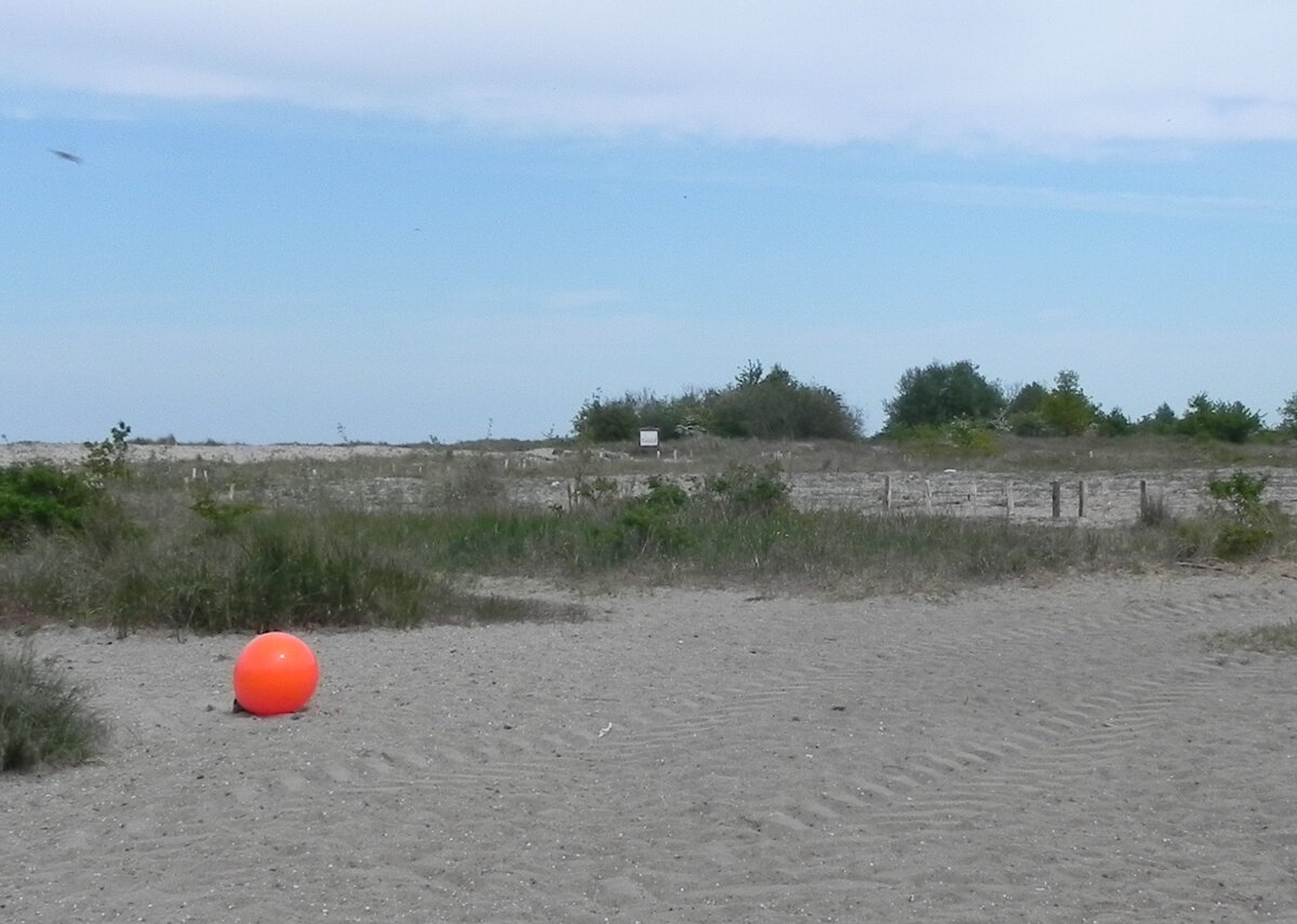 In den Dünen von Laboe an der Kieler Förde am 22.05.23. 