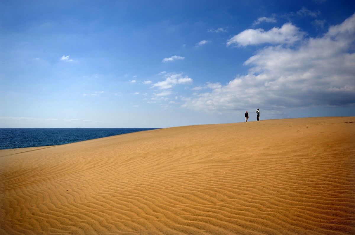 In den Dünen von Maspalomas auf Gran Canaria. Aufnahme: Oktober 2009.