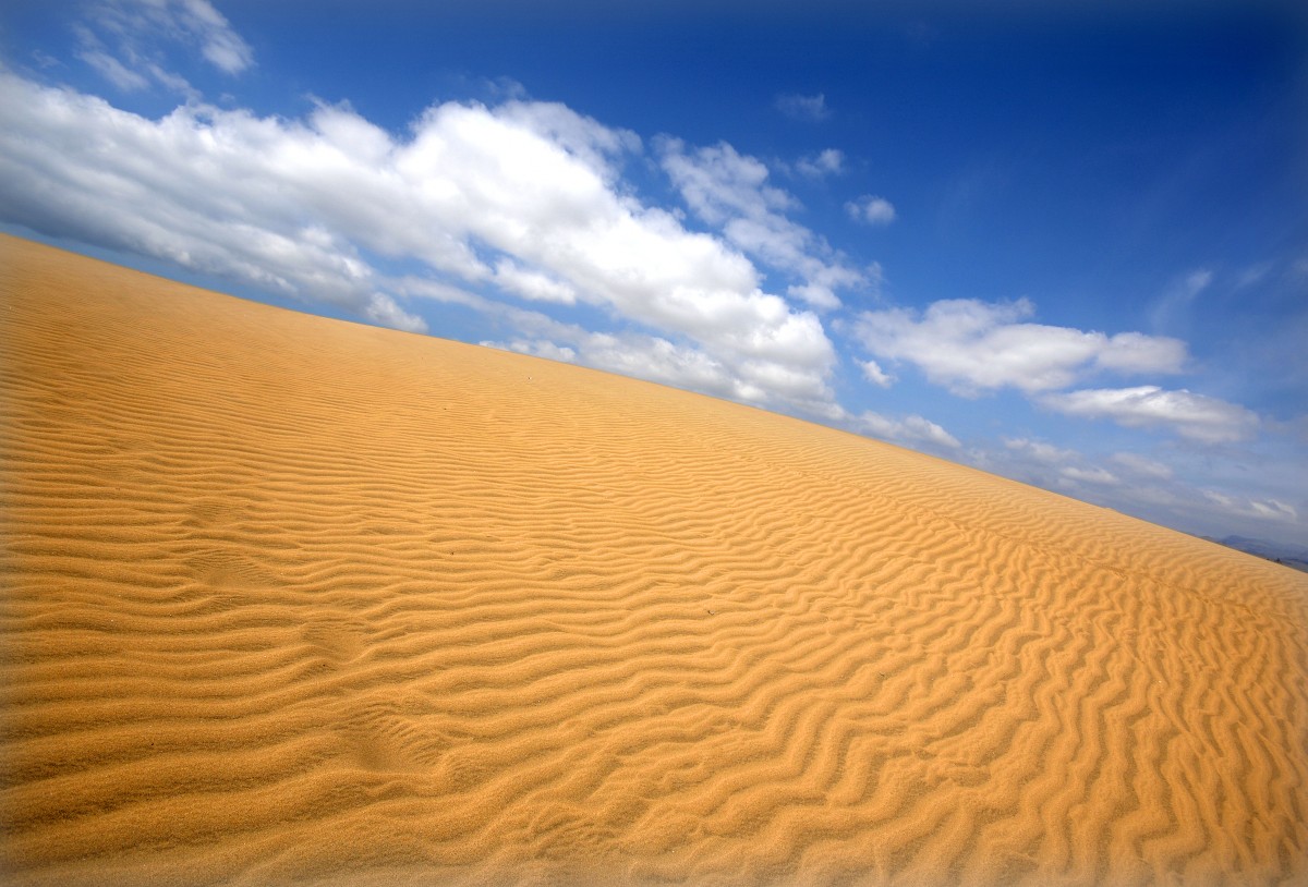 In den Dünen von Maspalomas auf Gran Canaria. Aufnahme: Oktober 2009.