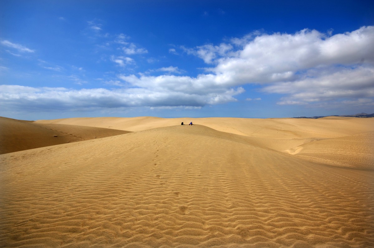 In den Dünen von Maspalomas auf Gran Canaria. Aufnahme: Oktober 2009.