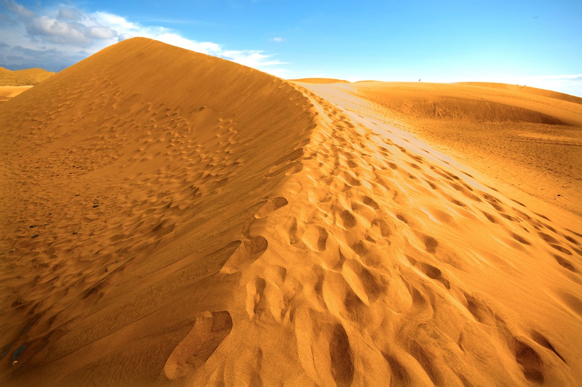 In den Dünen von Maspalomas. Aufnahme: Oktober 2009.