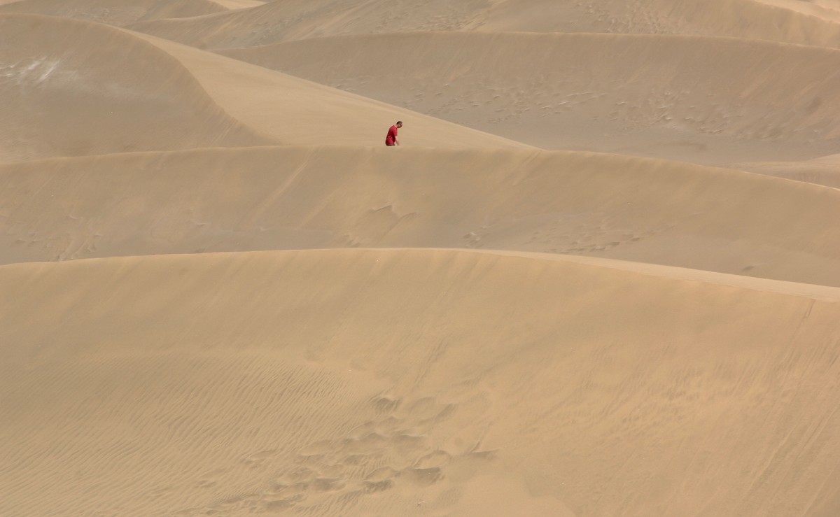 In den Dünen von Maspalomas, Gran Canaria. Aufnahme: Oktober 2009.