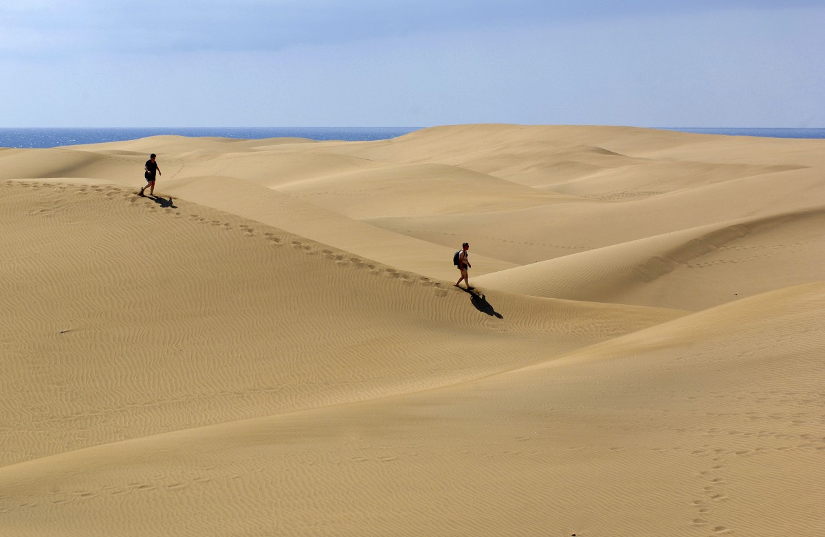 In den Dünen von Maspalomas, Gran Canaria. Aufnahme: Oktober 2009.