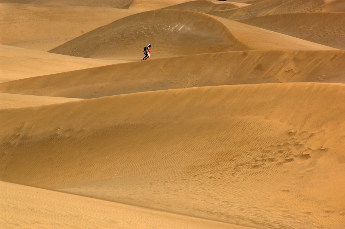 In den Dünen von Maspalomas, Gran Canaria. Aufnahme: Oktober 2009.