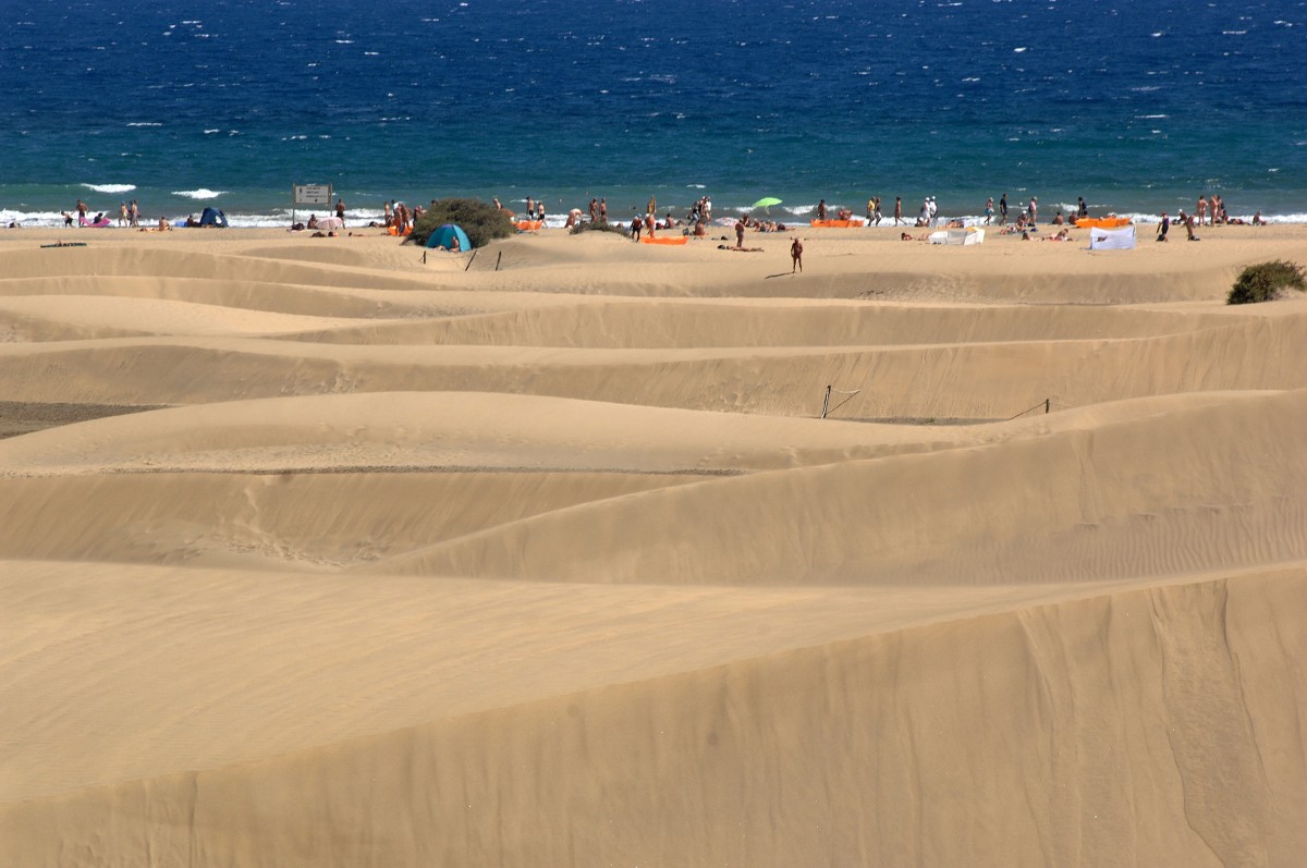 In den Dünen von Maspalomas, Gran Canaria. Aufnahme: Oktober 2009.