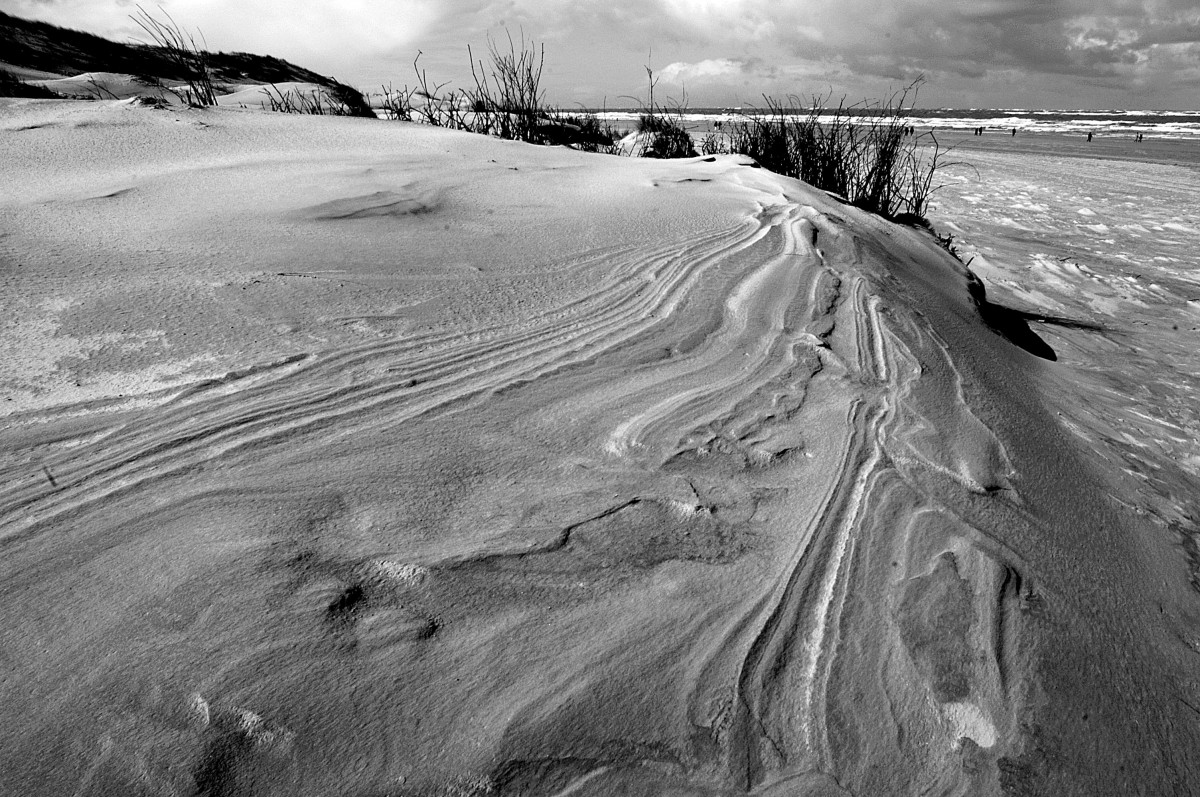 In den Dünen von Norderney. Aufnahme: März 2008.