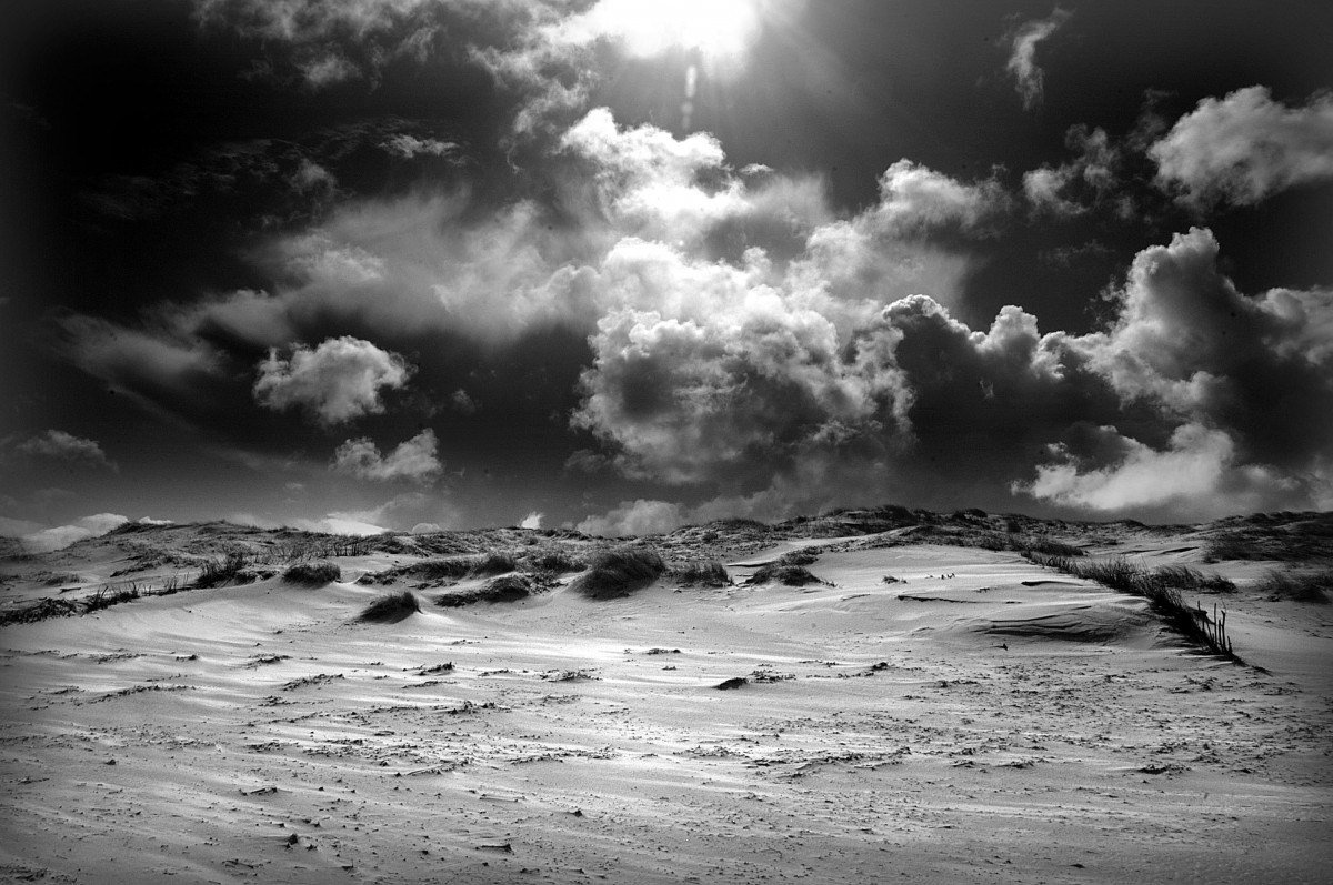 In den Dünen von Norderney. Aufnahme: März 2008.