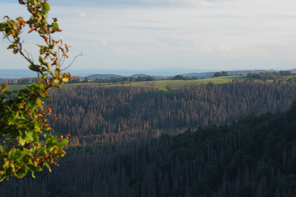 In der Ferne am Horizont ungefähr in der Bildmitte der Basalttafelberg  Hoher Meißner  in Hessen, ca. 80 km entfernt und ca. 25 km südöstlich von Kassel; Aufnahme vom Aussichtsfelsen der Hahnenkleeklippen am Abend des 11.06.2022. Der Hohe Meißner ist übrigens der Berg, auf dem im Märchen Frau Holle tätig ist...