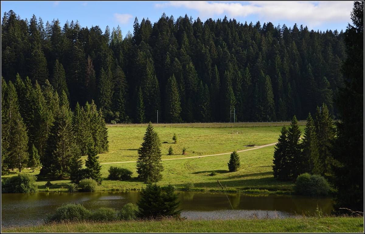 In den Freibergen ist das Licht völlig ungewohnt... Blick über den Etang de Plain de Saigne, August 2016.