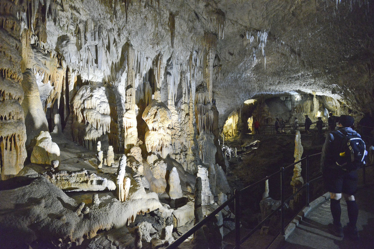 In den Höhlen von Postojna in Slowenien. Aufnahme: 27. Juli 2016.