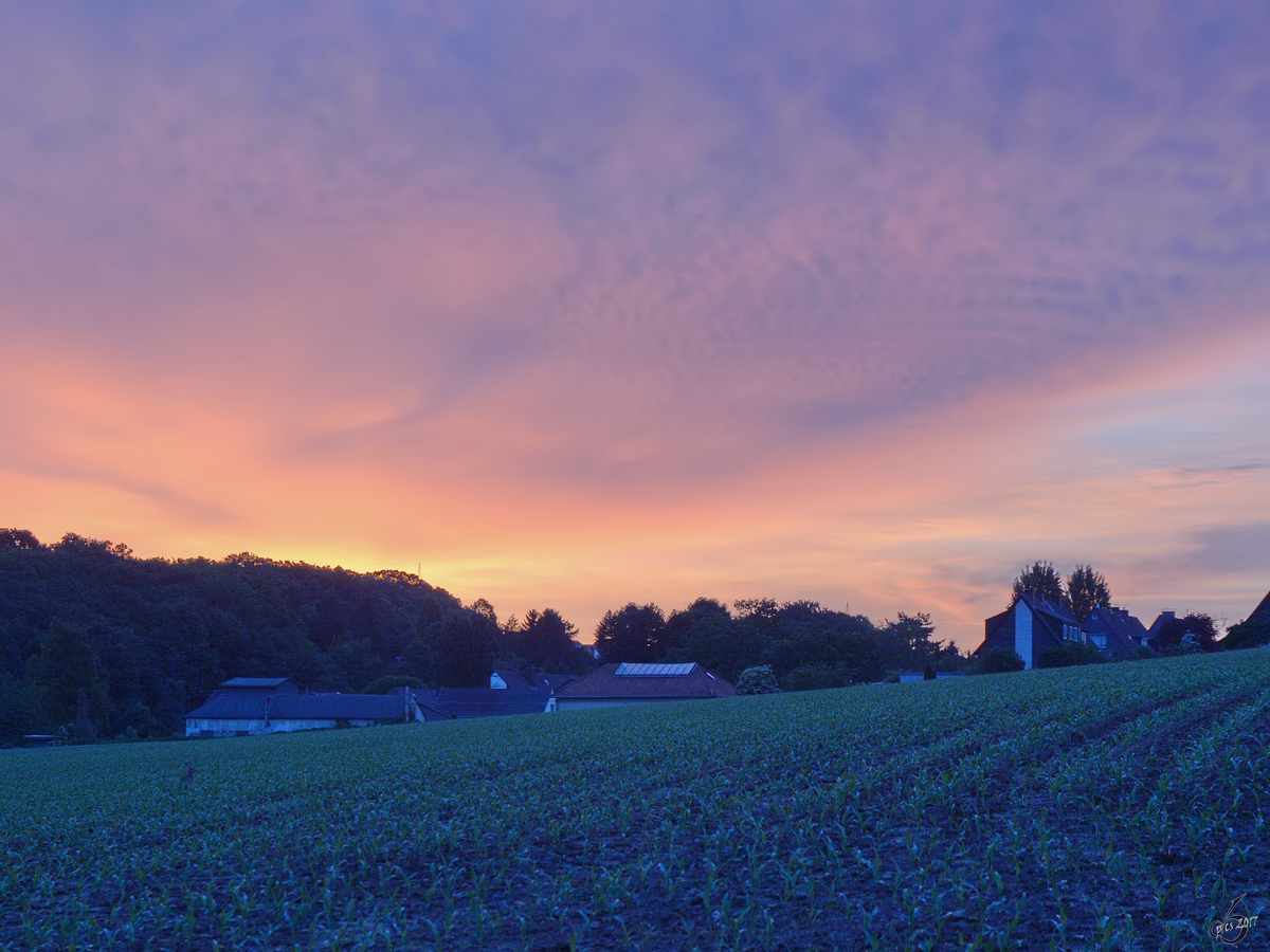 In wenigen Minuten ist Sonnenaufgang über Hattingen. (Juni 2017)