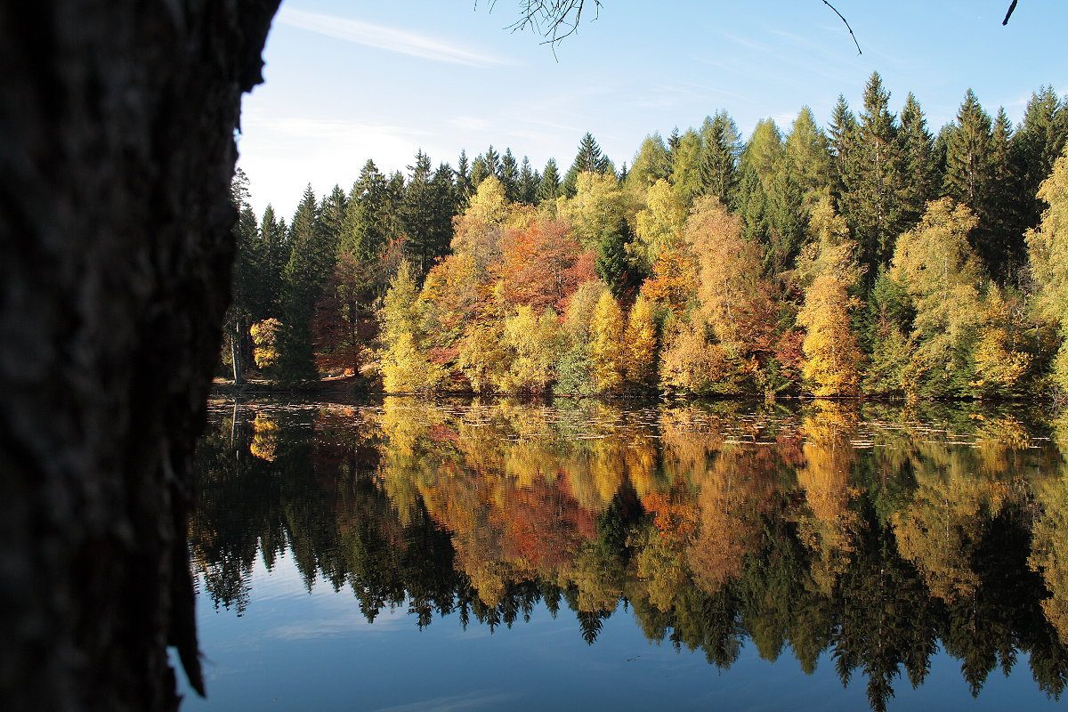  Indian Summer  am Silberteich bei Braunlage; Aufnahme Richtung Südwesten um die Mittagszeit des 17.10.2018...