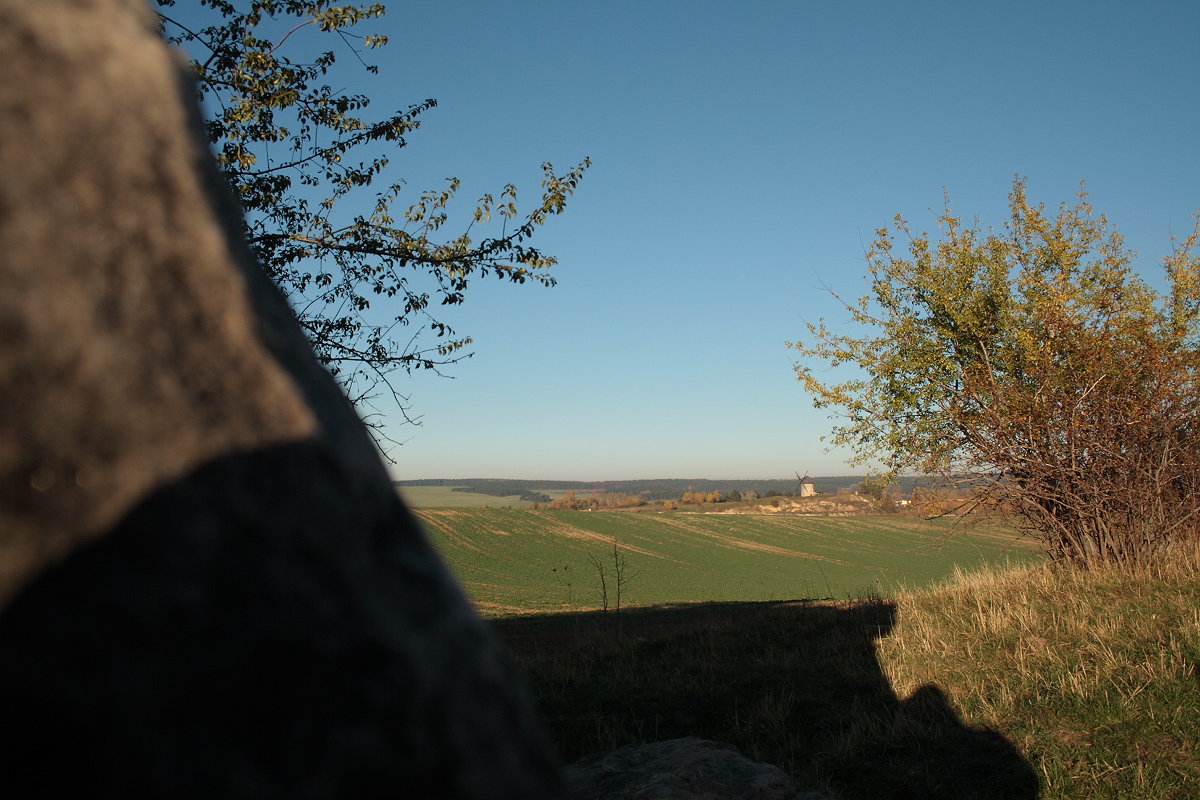 Inmitten der weiten Landschaft mit Feldern, sanften Bergreihen und Obstbäumen steht in der Ferne die Windmühle von Warnstedt. Aufnahme vom Nachmittag des 03.11.2015 auf dem Teufelsmauerstieg bei den Papensteinen...