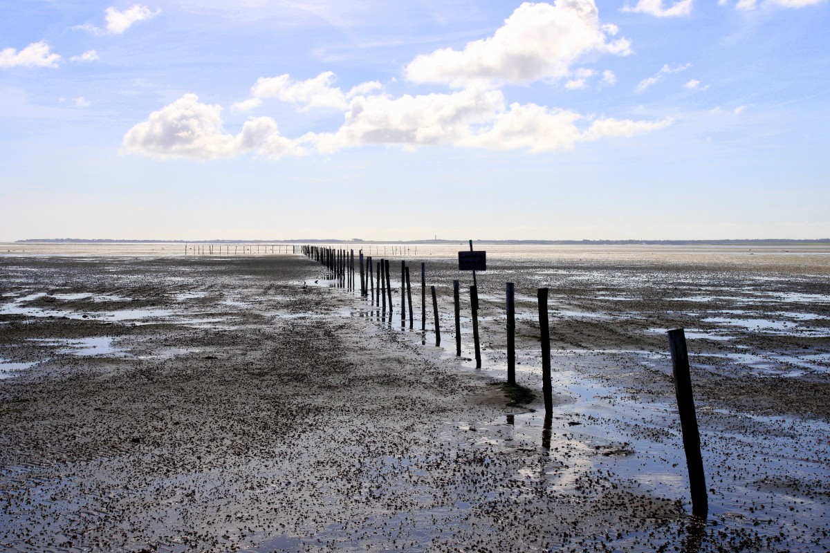 Insel Föhr: Am Strand zwischen Utersum und Goting mit Blick auf die Insel Amrum am 07.09.2015.