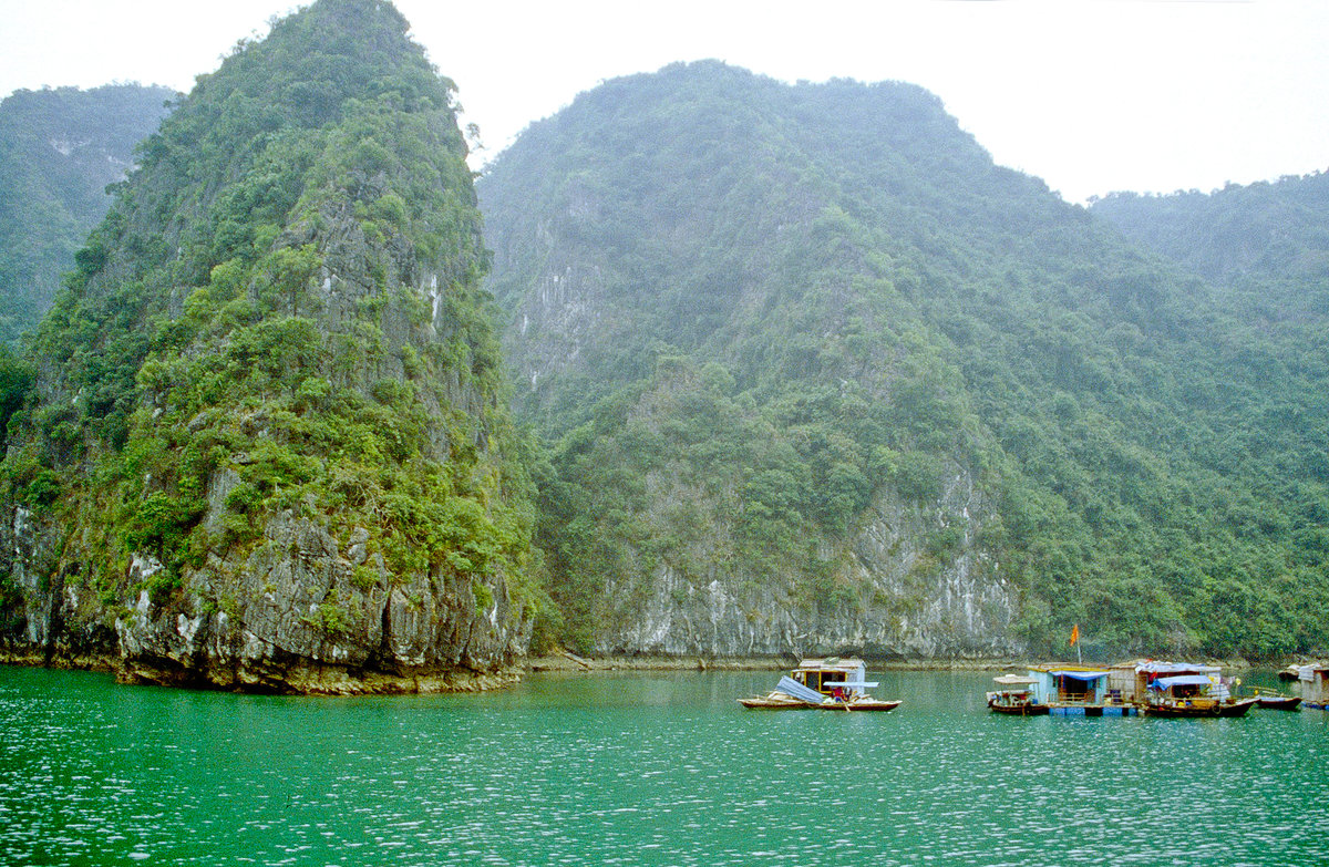 Inseln und Felsen in der Halong-Bucht. Bild vom Dia. Aufnahme: Januar 2001.