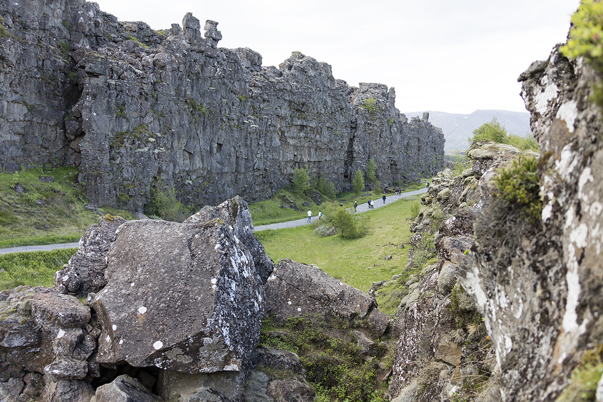 Island, Thingvellir, 12.06.2017 