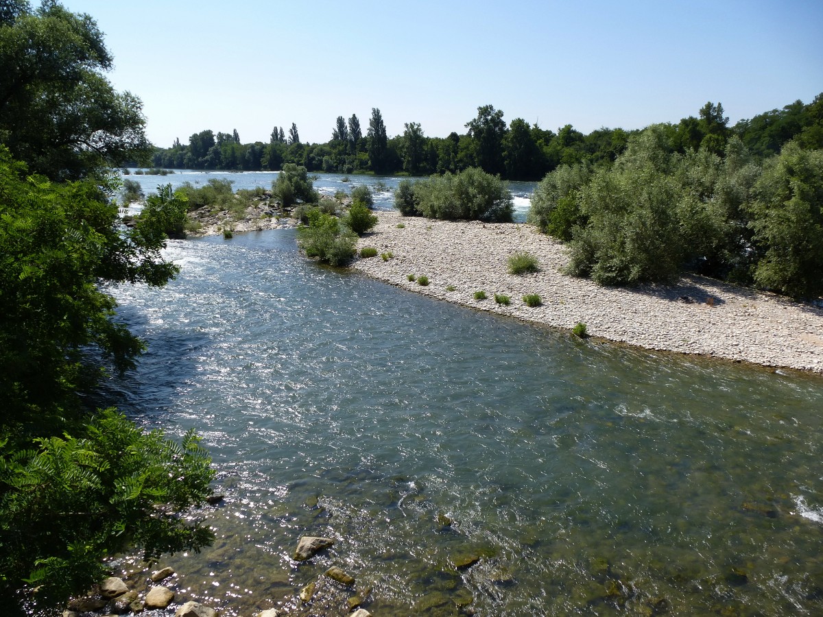 Isteiner Schwellen, Stromschnellen im Altrhein bei Kilometer 177, Juli 2015