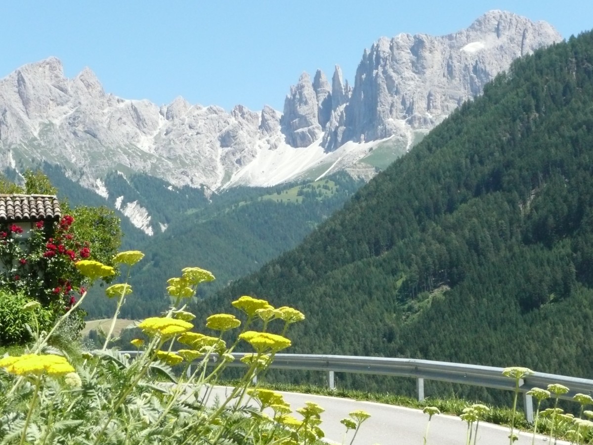 Italien - Südtirol - irgendwo in den Dolomiten, vis-a-vis vom  Rosengarten . Aufgenommen im Juni 2011.