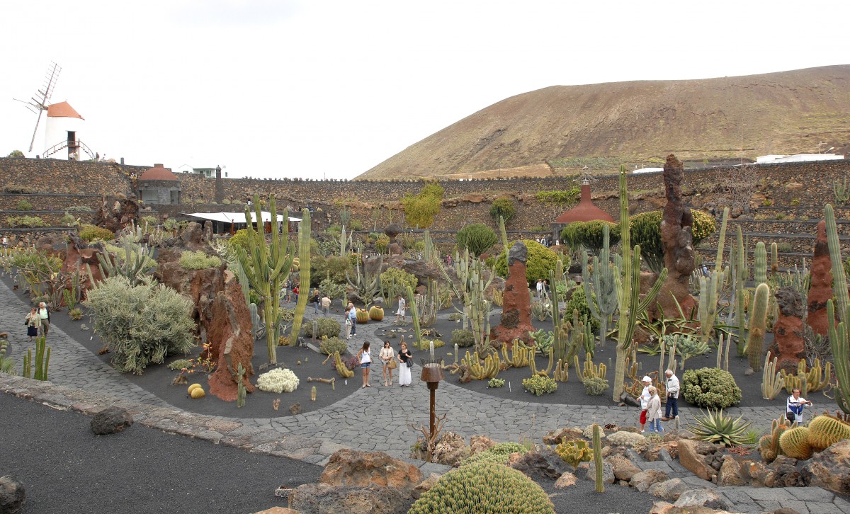 Jardín de Cactus bei Guatiza. Aufnahmedatum: 24. April 2011.