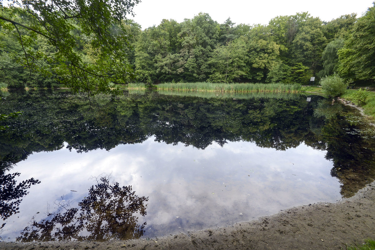 Jezioro Nowowiejskiego (Morskie Oko) bei Zoppot / Sopot. Aufnahme: 15. August 2019.