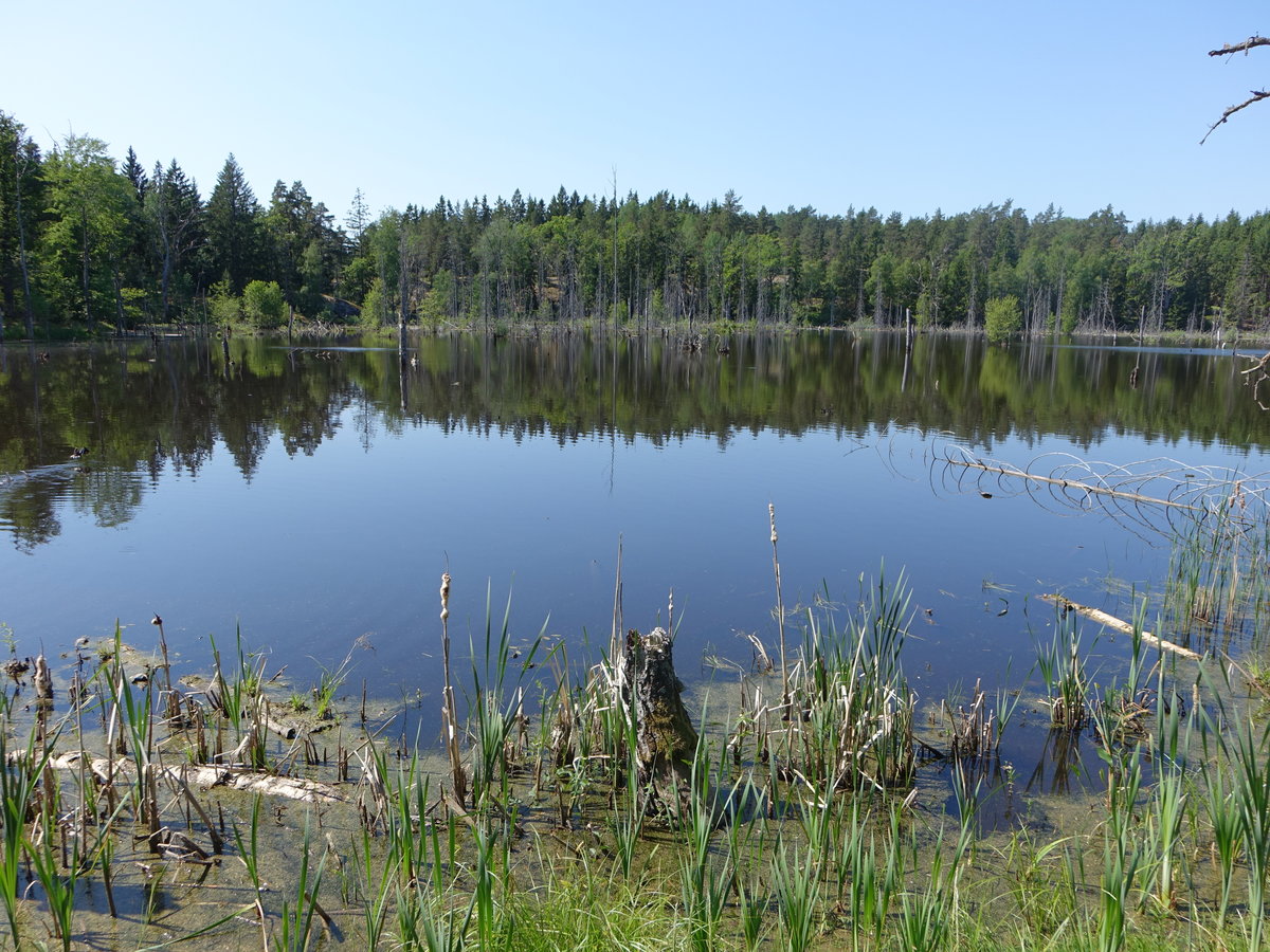 Jordbrodammen See bei Bogesund (03.06.2018)