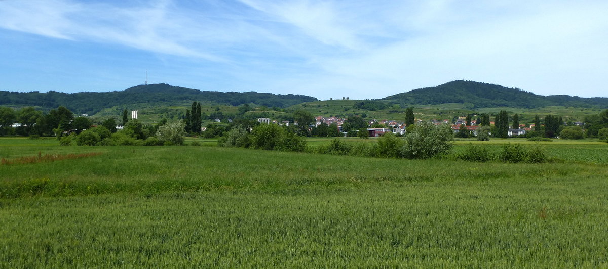 Kaiserstuhl, Blick aus der Rheinebene auf den östlichen Kaiserstuhl mit dem Winzerort Bötzingen, Juni 2017