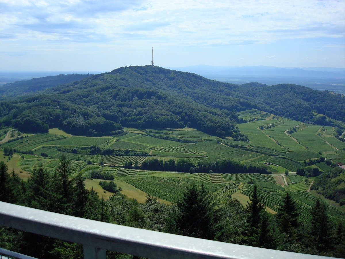 Kaiserstuhl, Blick vom Aussichtsturm auf der 521m hohen Eichelspitze zum Totenkopf, dem hchsten Kaiserstuhlberg (557m) mit dem 151m hohen Sendeturm, Juli 2008