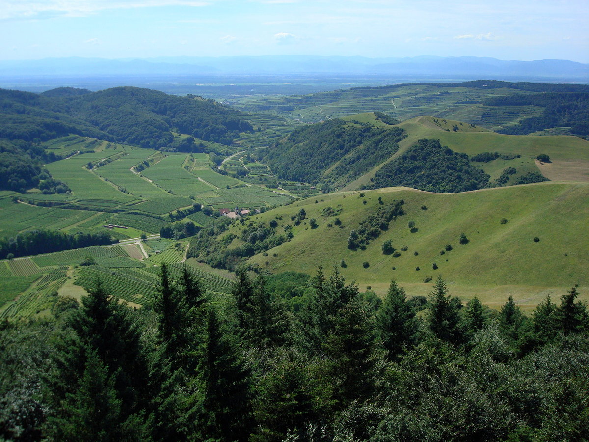 Kaiserstuhl, Blick vom Aussichtsturm auf der Eichelspitze (521m) Richtung Westen über den inneren Kaiserstuhl, dahinter die Rheinebene und die Vogesen am Horizont, Juli 2008