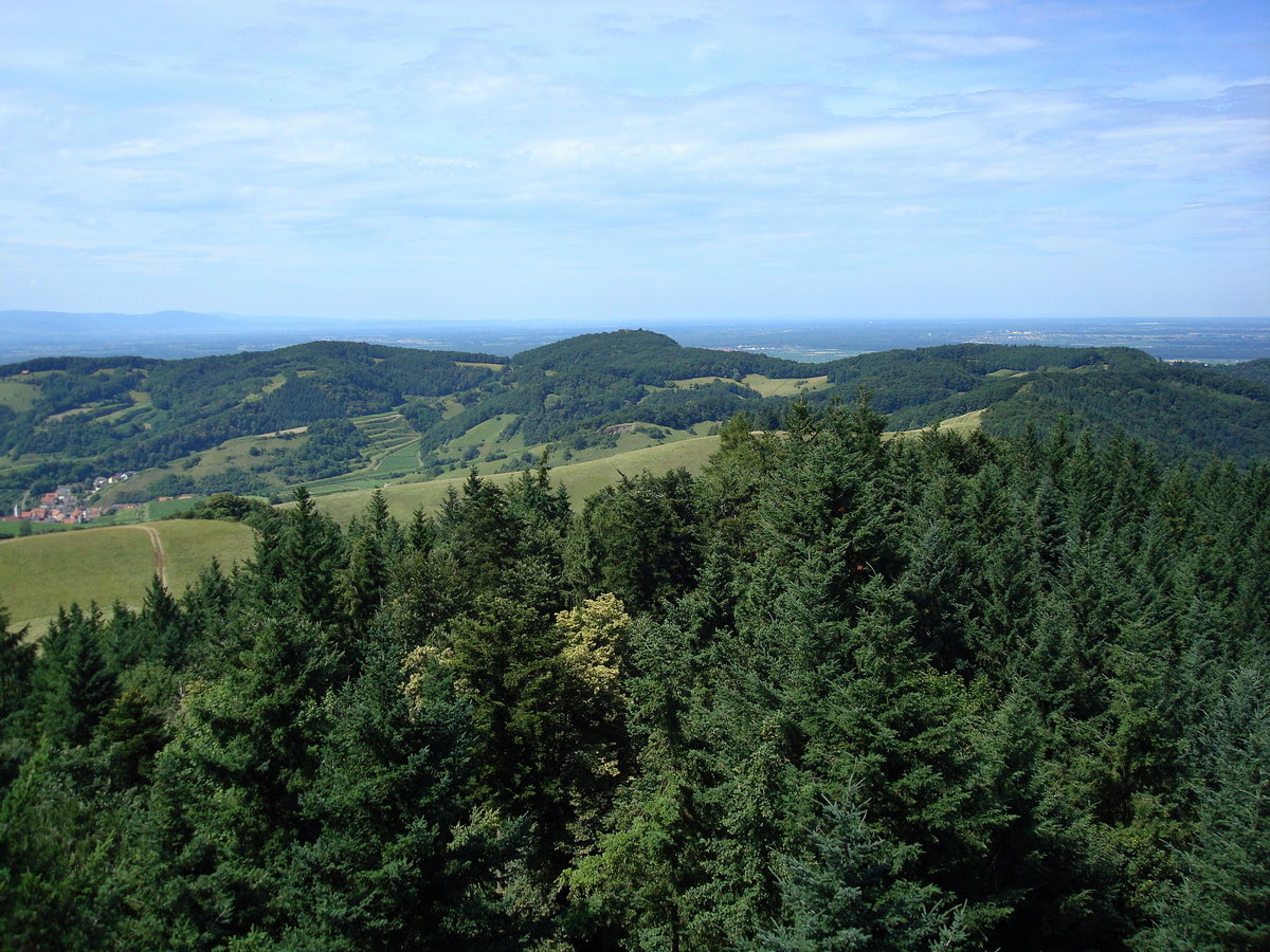 Kaiserstuhl, Blick vom Aussichtsturm auf der Eichelspitze (521m) auf die bewaldeten Berge des nrdlichen Kaiserstuhles, mit der Katharienkapelle in der Mitte, links sieht man das Winzerdorf Schelingen, Juli 2017