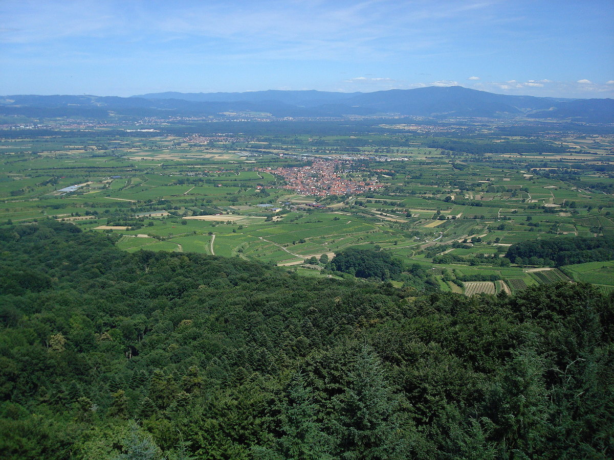 Kaiserstuhl, Blick vom Aussichtsturm auf der Eichelspitze (521m) Richtung Osten, im Vordergrund der Winzerort Eichstetten, im Hintergrund der Schwarzwald mit dem Kandel (1241m) und rechts daneben der Eingang zum Glottertal, Juli 2008