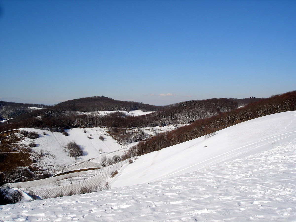 Kaiserstuhl, Blick vom Badberg zur Katharienkapelle auf dem 493m hohen Katharienberg am Nordrand des kleinen Gebirges, Feb.2005