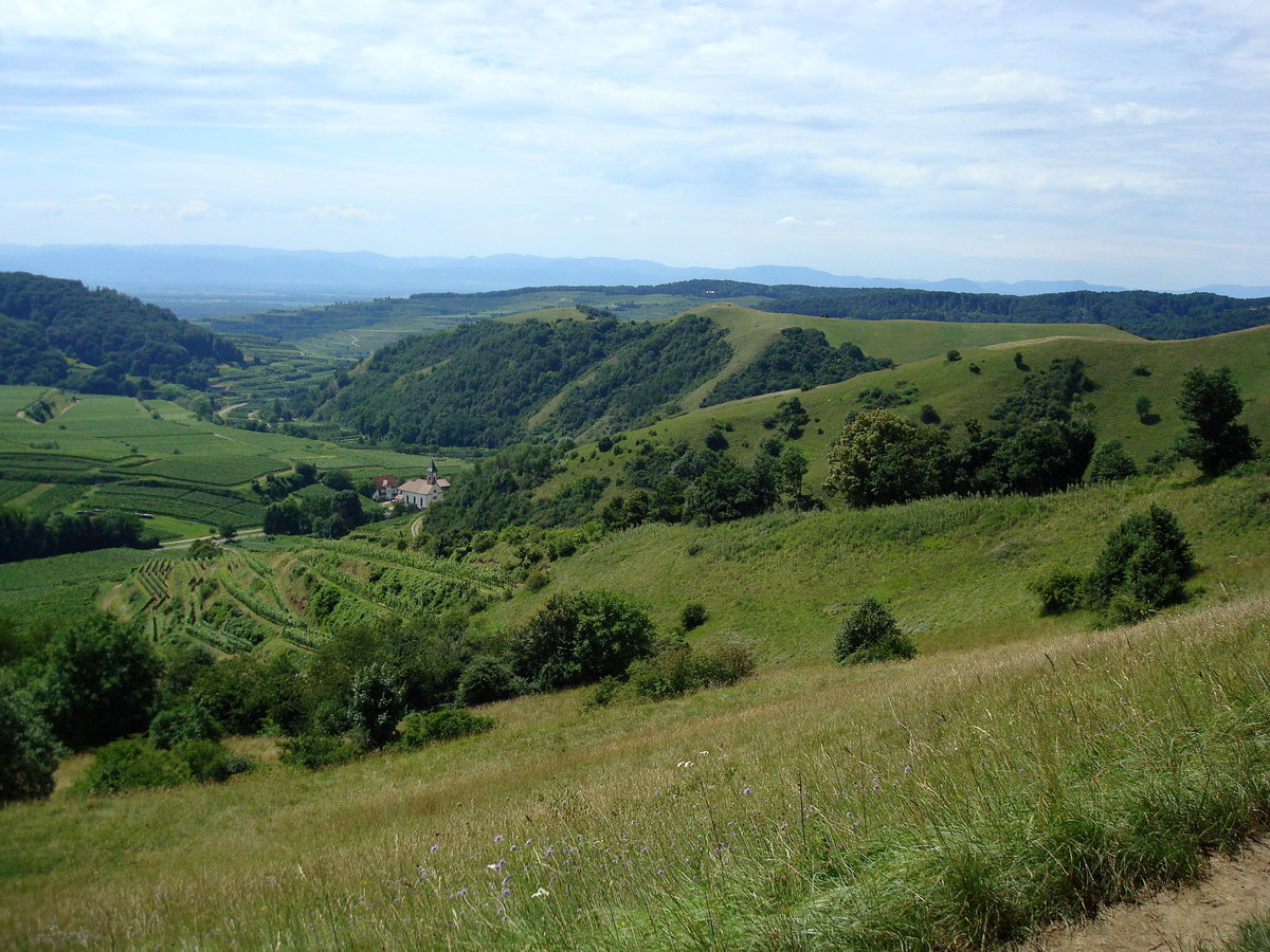 Kaiserstuhl, Blick von der Eichelspitze Richtung West in den inneren Kaiserstuhl, unten die Kirche von Altvogtsburg, am Horizont die Vogesen, Juli 2008