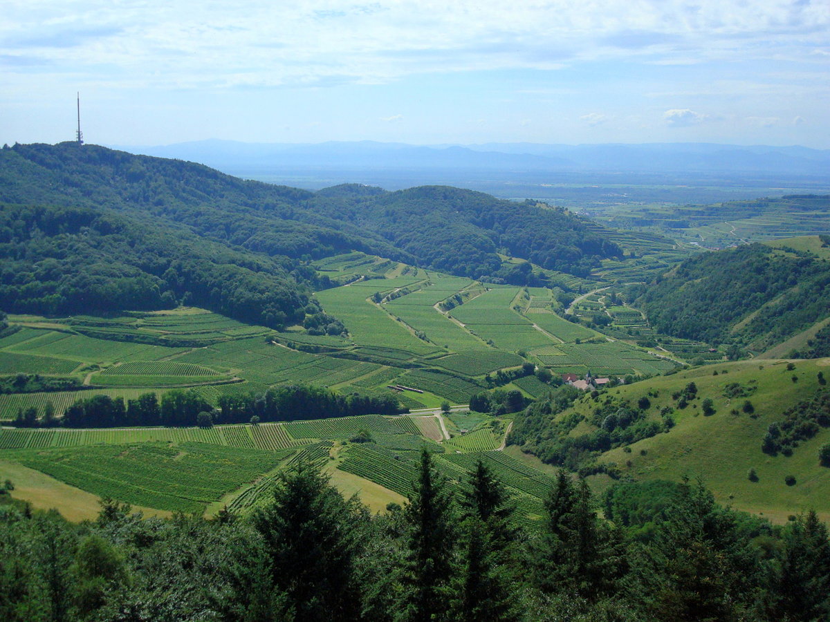 Kaiserstuhl, Blick vom Eichelspitzturm nach Westen über die Rheinebene zu den Vogesen, links der 557m hohe Totenkopf mit dem Sendeturm, Juli 2008