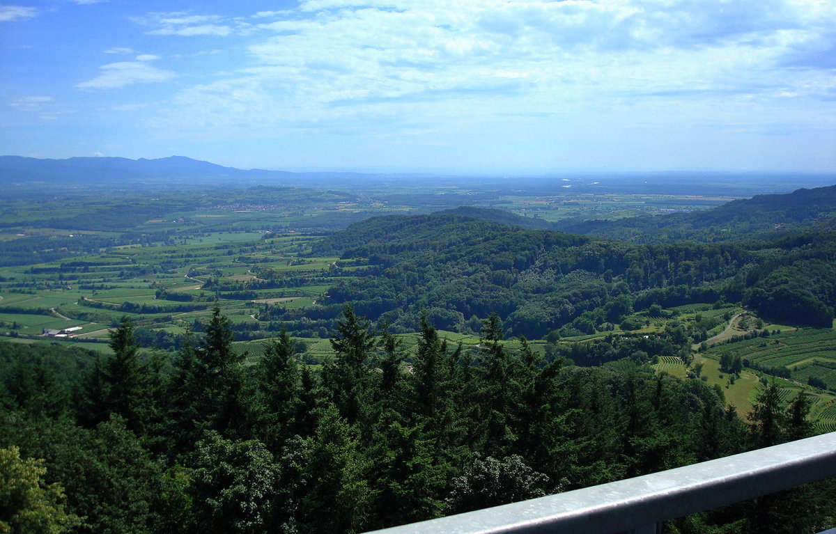 Kaiserstuhl, Blick vom Eichelspitzturm Richtung Süden in die Rheinebene, links die Ausläufer des Südschwarzwaldes, Juli 2008