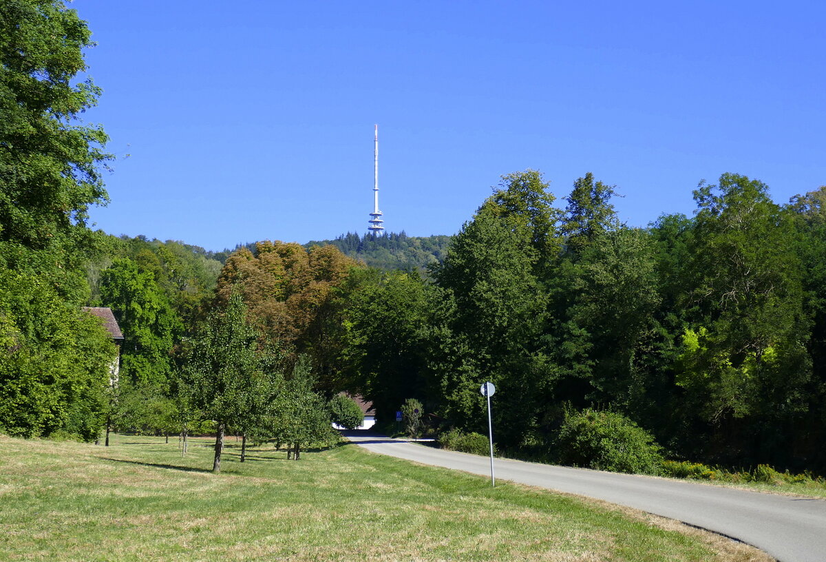 Kaiserstuhl, Blick vom Liliental zum 557m hohen Totenkopf mit dem Fernshturm, Aug.2022