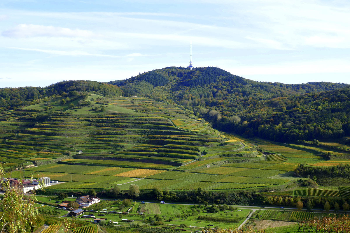 Kaiserstuhl, Blick von der Mondhalde zum Totenkopf, links unten der Weinort Oberbergen, Okt.2019