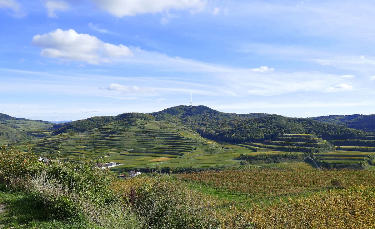 Kaiserstuhl, Blick von der Mondhalde zum Totenkopf(557m),links unten der Weinort Oberbergen, Okt.2019