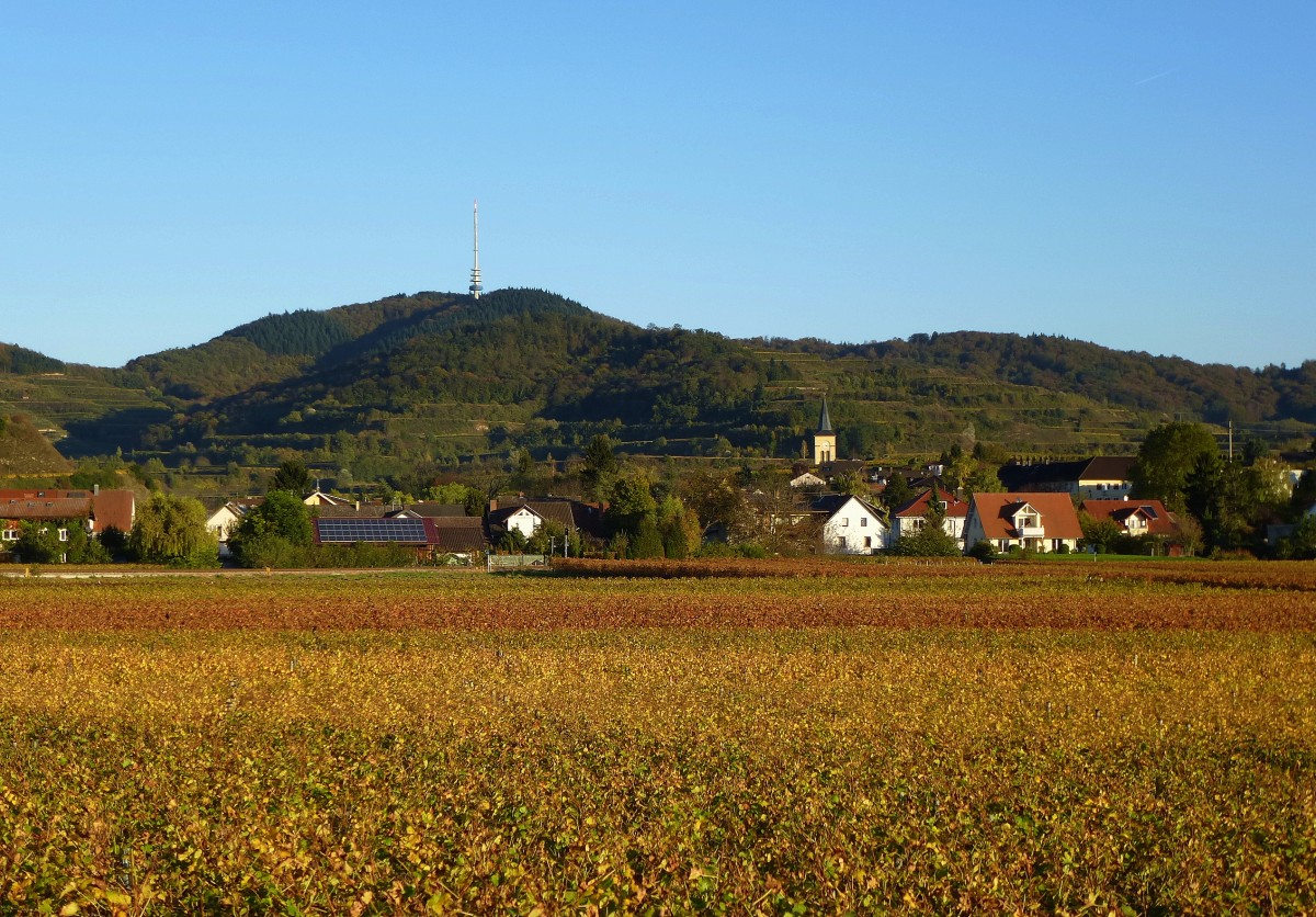Kaiserstuhl, Herbst und Abendlicht beim Blick zum Totenkopf (557m), davor der Weinort Oberrotweil, Okt.2013