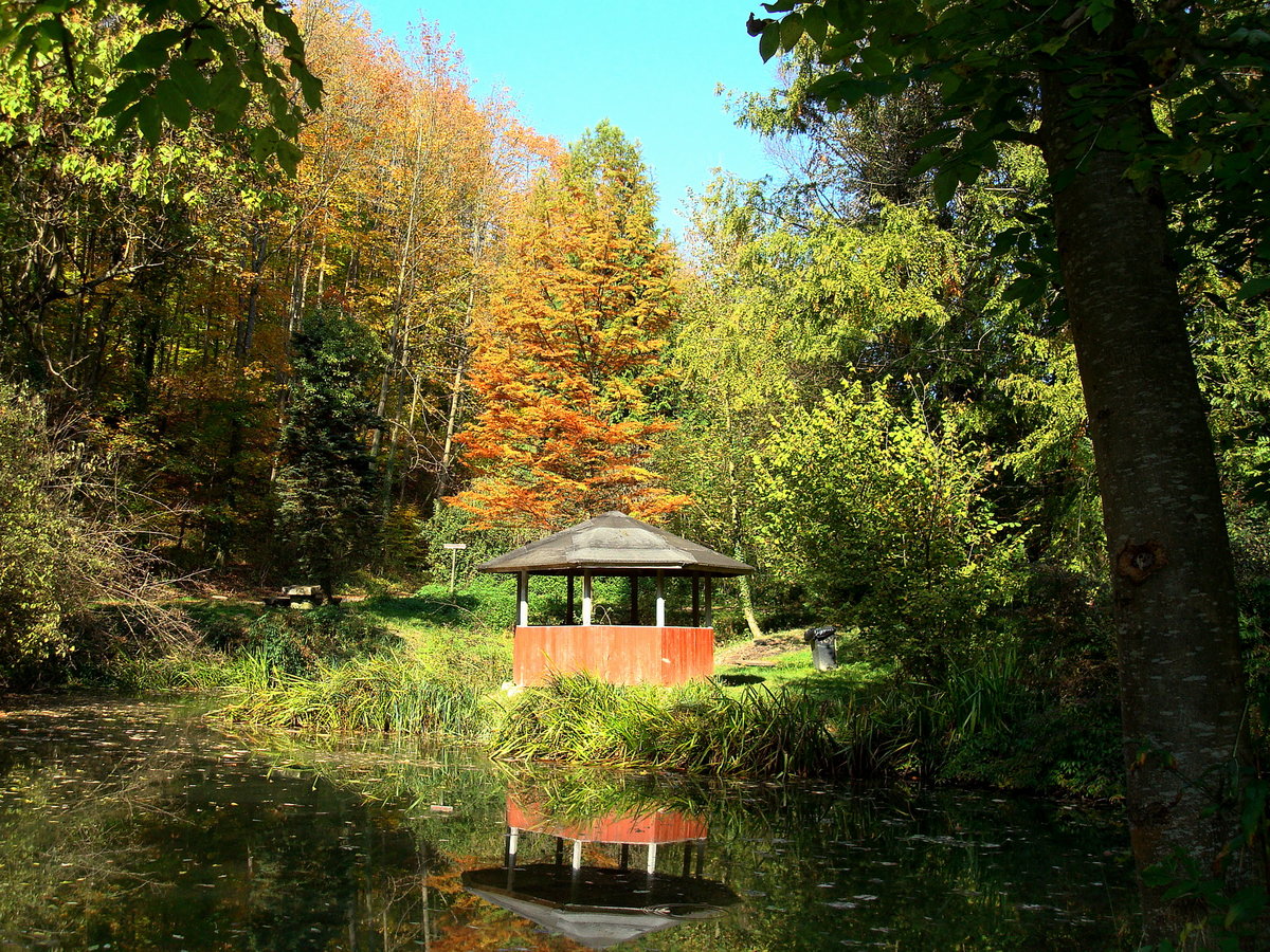 Kaiserstuhl, kleiner Weiher im Liliental, Okt.2007