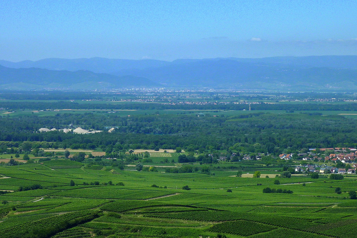 Kaiserstuhl, Teleblick von der Mondhalde in die Rheinebene, am Horizont die Vogesen, davor liegt Colmar, Juni 2011