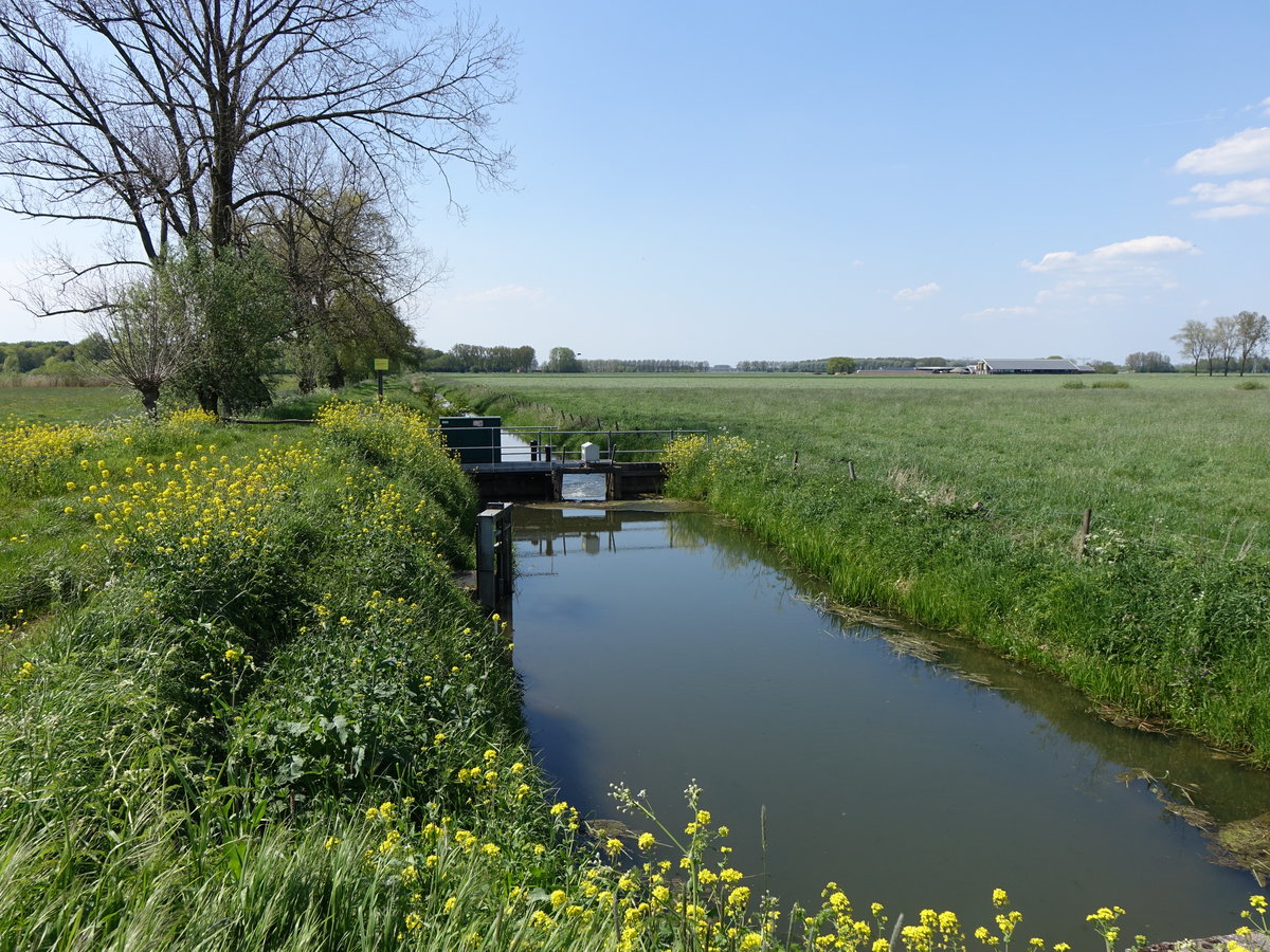 Kanal bei Bergharen, Gelderland (07.05.2016)