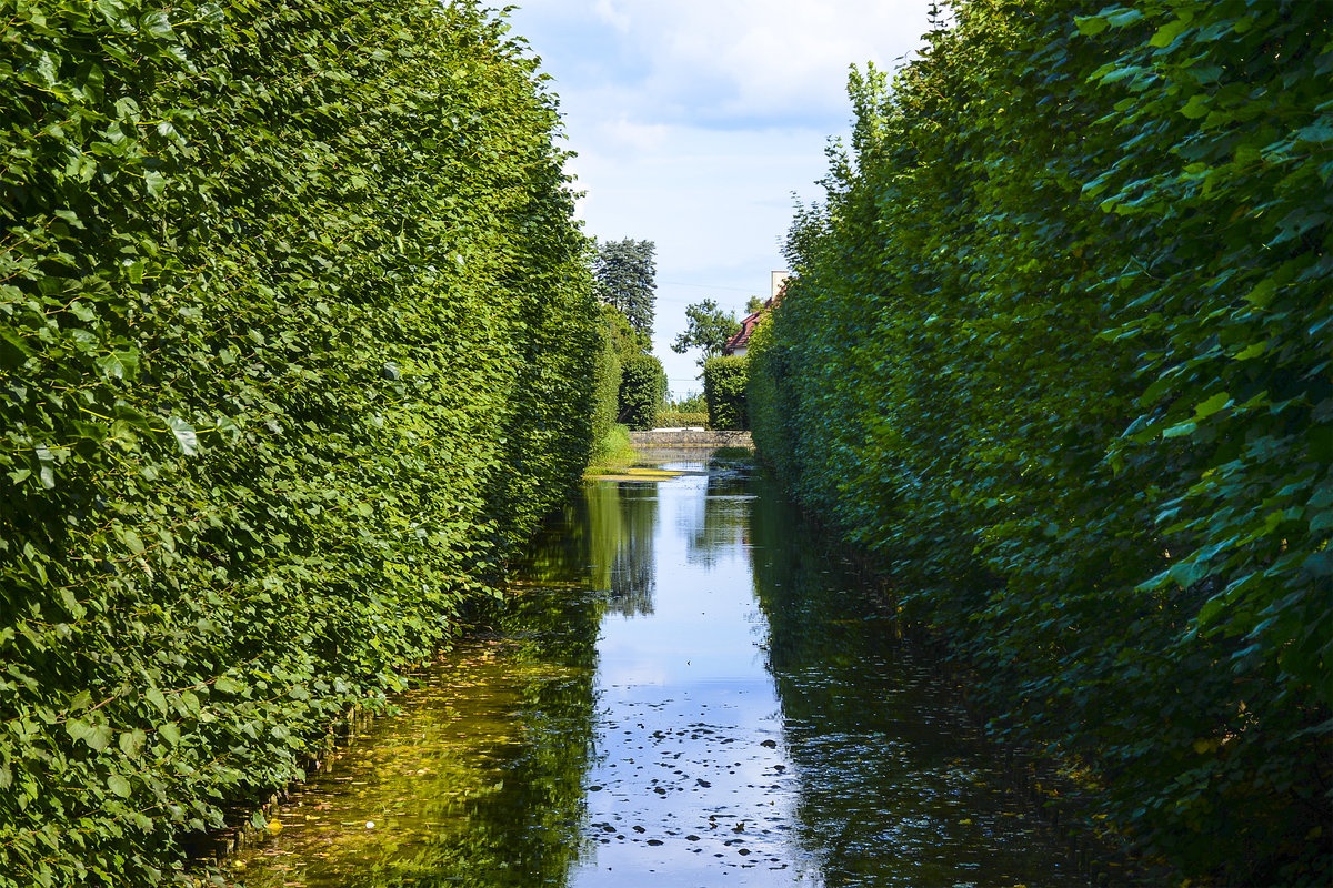 Kanal im Park Oliwska im Danziger Ortsteil Oliwa. Aufnahme: 14. August 2019.