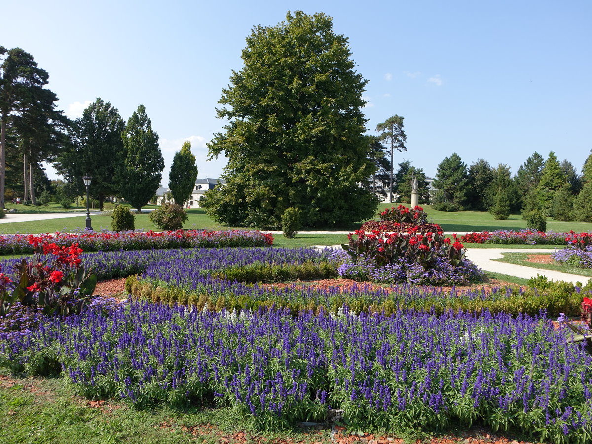 Keszthely, Blumenbeete im Schloßpark vom Barockschloss der Feštetićs (29.08.2018)