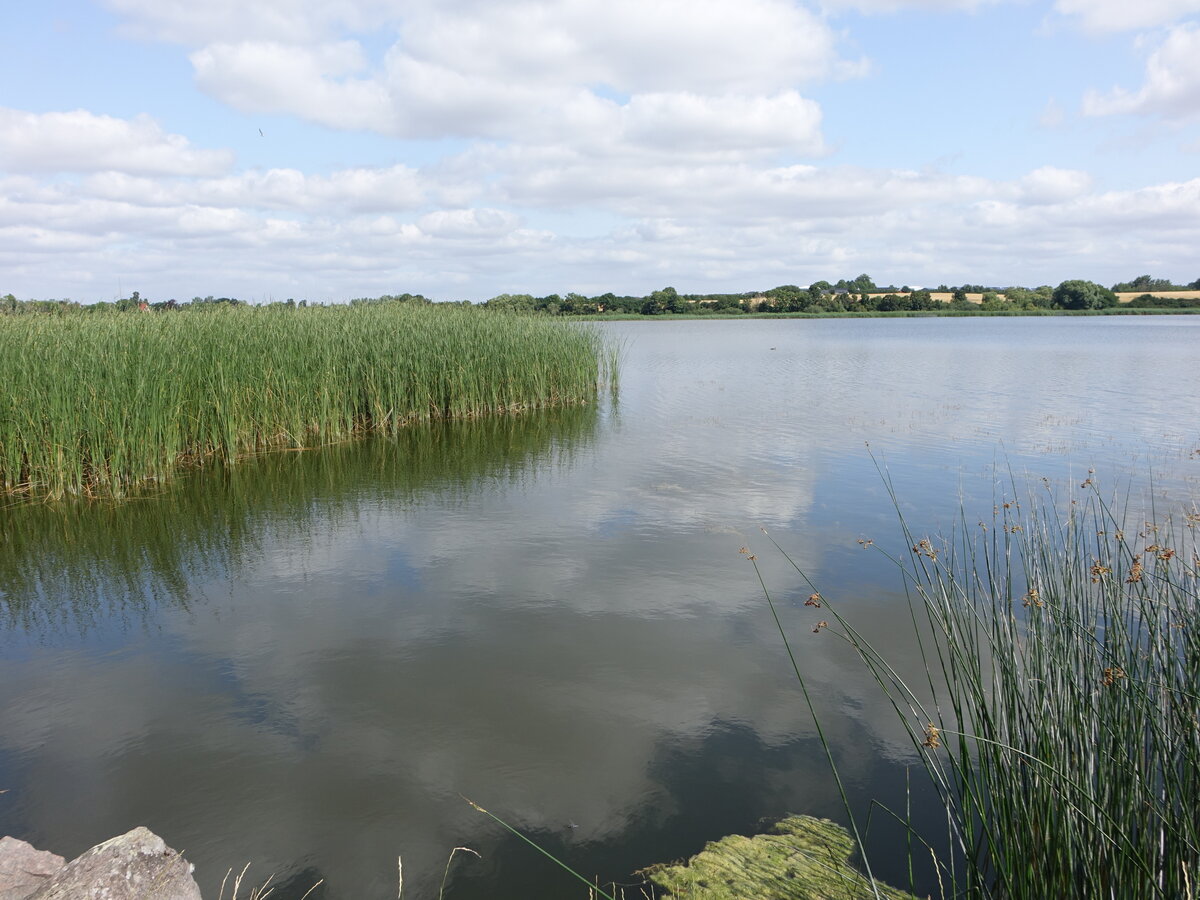 Kimmerslev See bei Borup, Seeland (22.07.2021)