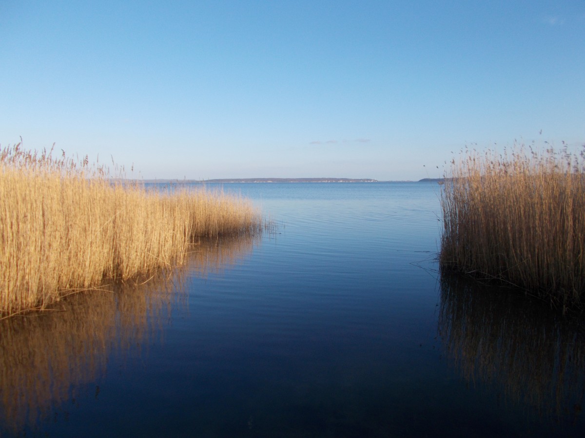 Kleine Bucht am Großen Jasmunder Bodden,am 28.Februar 2015,bei Banzelvitz.