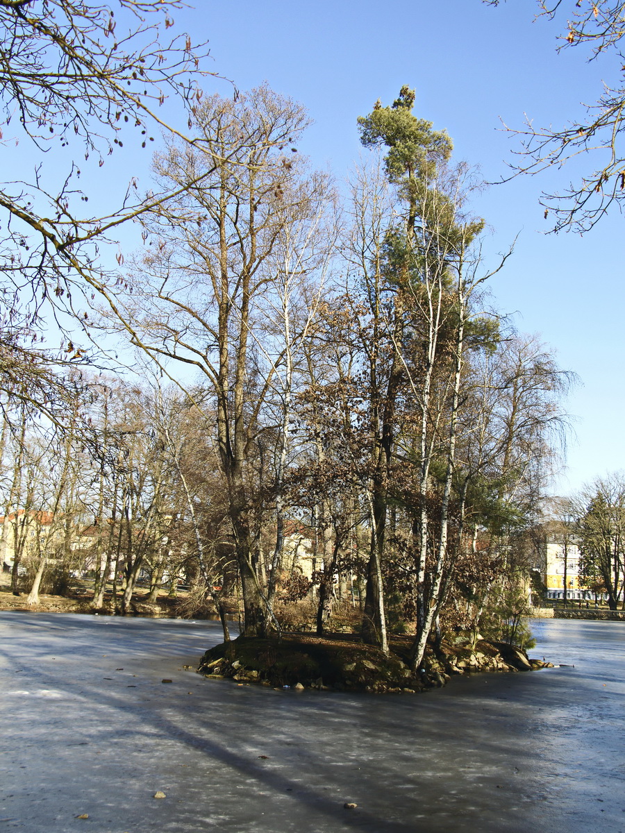 Kleine Insel im Westend Park am Schwanensee am 18. Februar 2019.