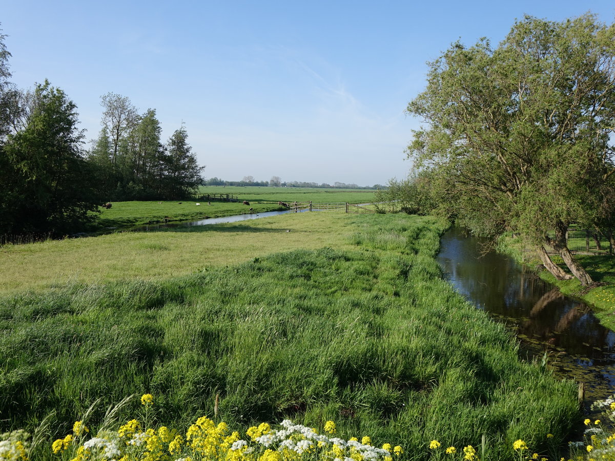 Kleine Kanäle bei Vlist an der Ijssel (12.05.2016)