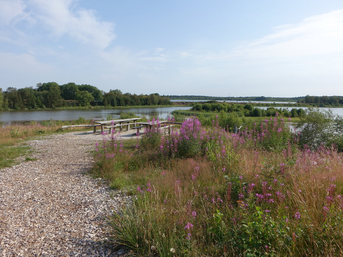 Kleine Seen beim Søby Brunkulsmuseum in der Nähe von Herning (25.07.2019)