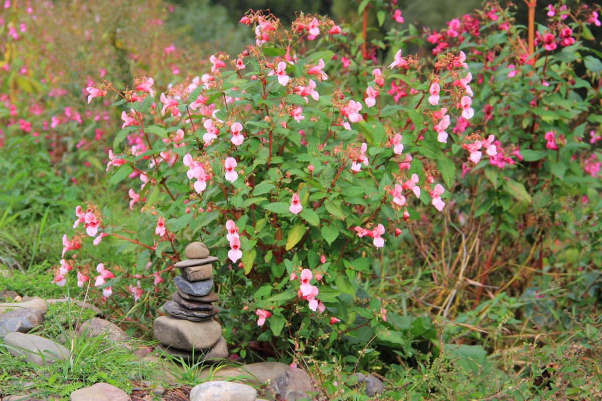 Kleine  Steinskulptur  bei Schwürbitz am 20.09.2015.